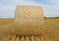 HDPE Hay Bale Net Wrap Untuk Pertanian, Hay Bale Netting 1.7m Lebar